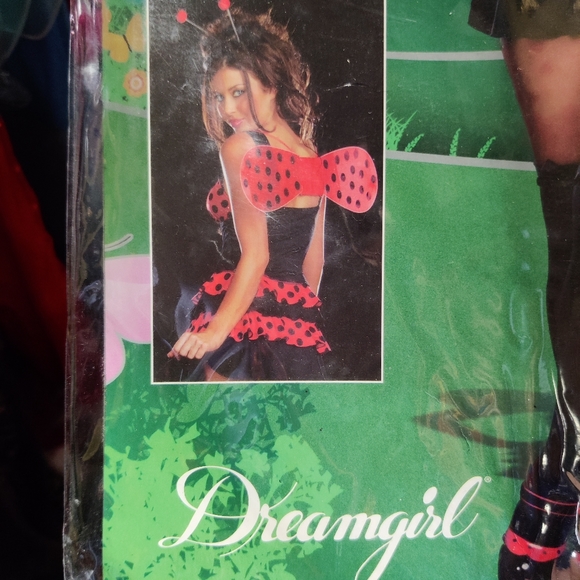 A ladybug Ladies costume - Picture 10 of 12